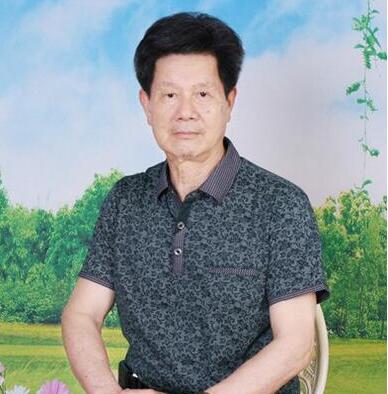 文章附图